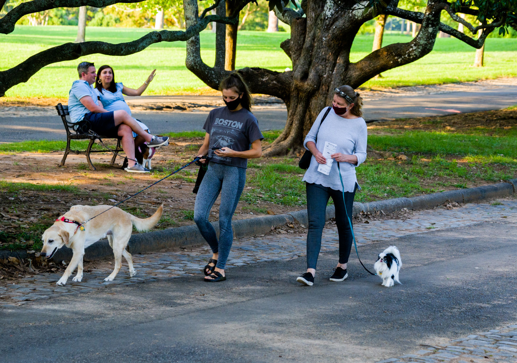 Mutts at Maymont
